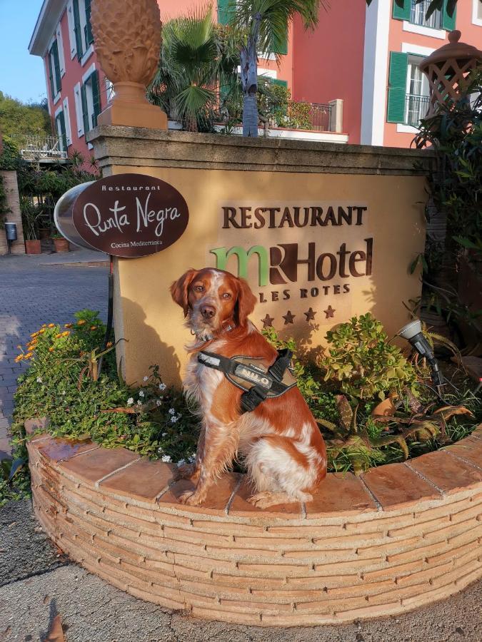Hotel Mr Les Rotes Denia Exterior photo